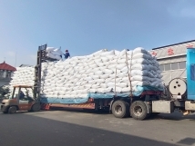 把握機(jī)遇、鉚足干勁、承勢而上