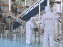 2025年的第一個月，承德亞歐果仁有限公司在山杏產(chǎn)業(yè)的道路上持續(xù)奮進(jìn)，展現(xiàn)出蓬勃的發(fā)展活力。